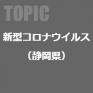 テーマ詳細サムネイル