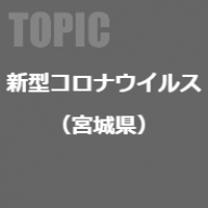 テーマ詳細サムネイル