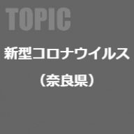 テーマ詳細サムネイル