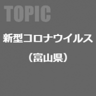 テーマ詳細サムネイル