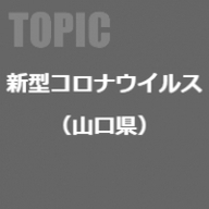 テーマ詳細サムネイル
