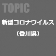 テーマ詳細サムネイル