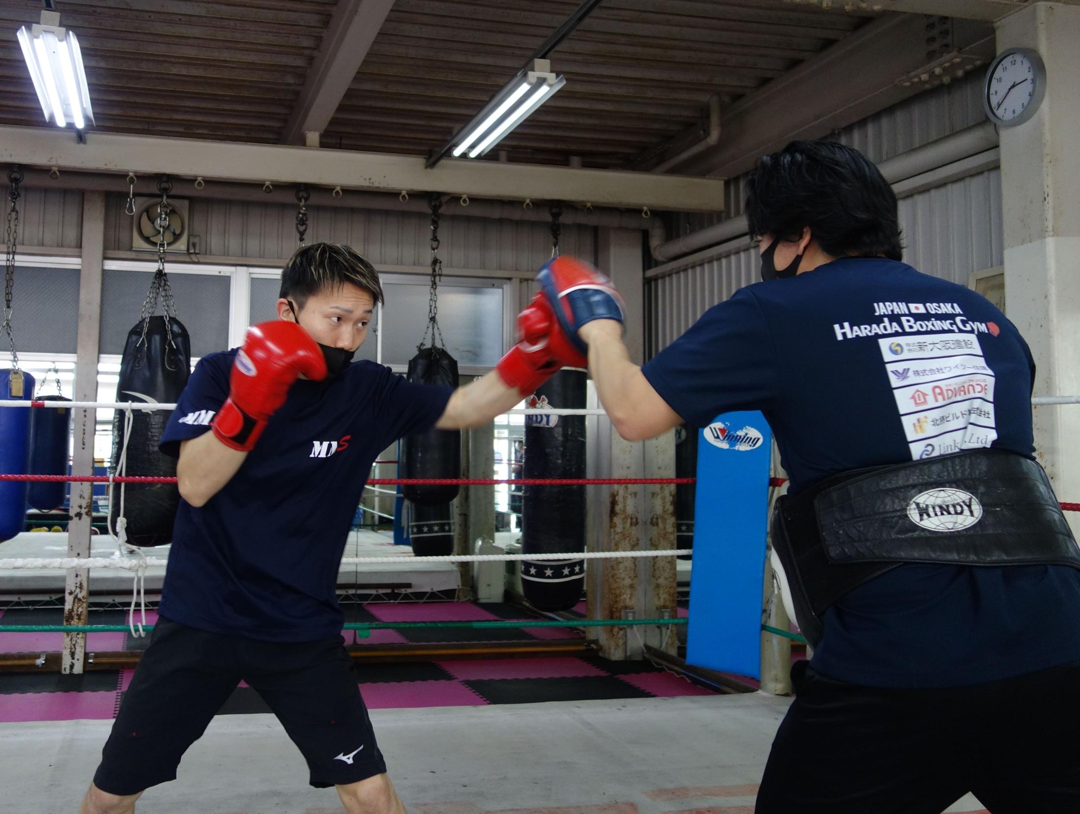 井岡一翔が36歳でベルト奪回戦 勝てば長谷川穂積の記録更新