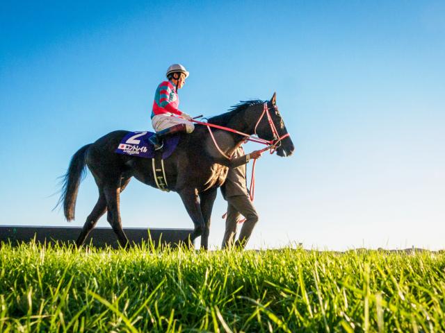 コントレイル（競走馬）の関連情報 - フォロー - Yahoo! JAPAN