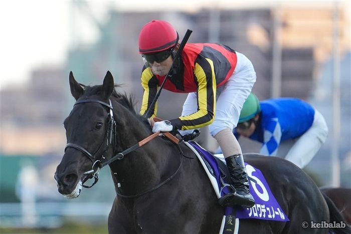 コントレイル（競走馬）の関連情報 - フォロー - Yahoo! JAPAN