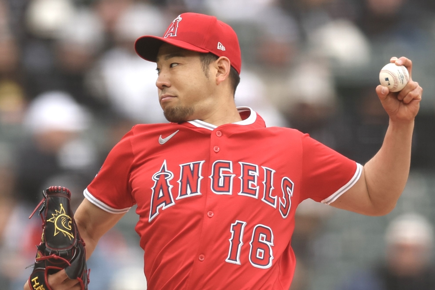 菊池雄星の関連情報 - フォロー - Yahoo! JAPAN