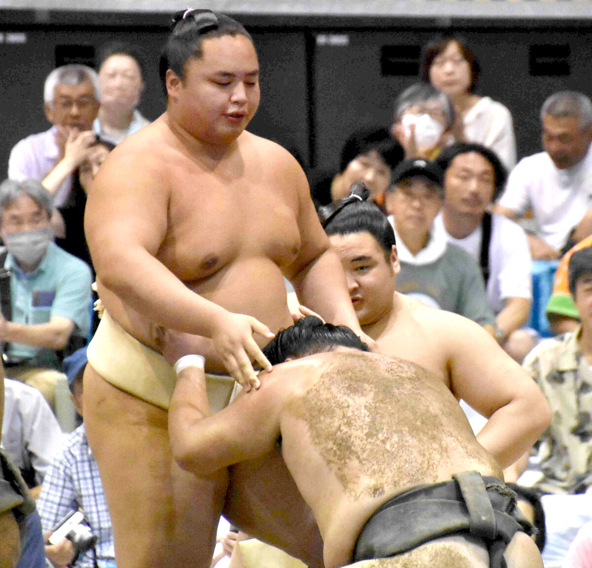 琴勝峰 吉成の関連情報 - フォロー - Yahoo! JAPAN