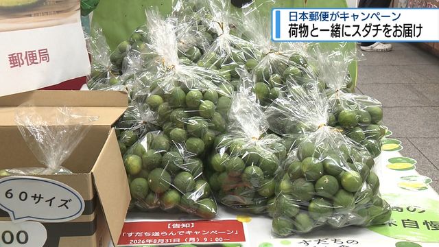 大清国郵政 使用済み10枚セット 荷物と一緒にスダチをお届け 日本郵便が無料キャンペーン【徳島】（JRT