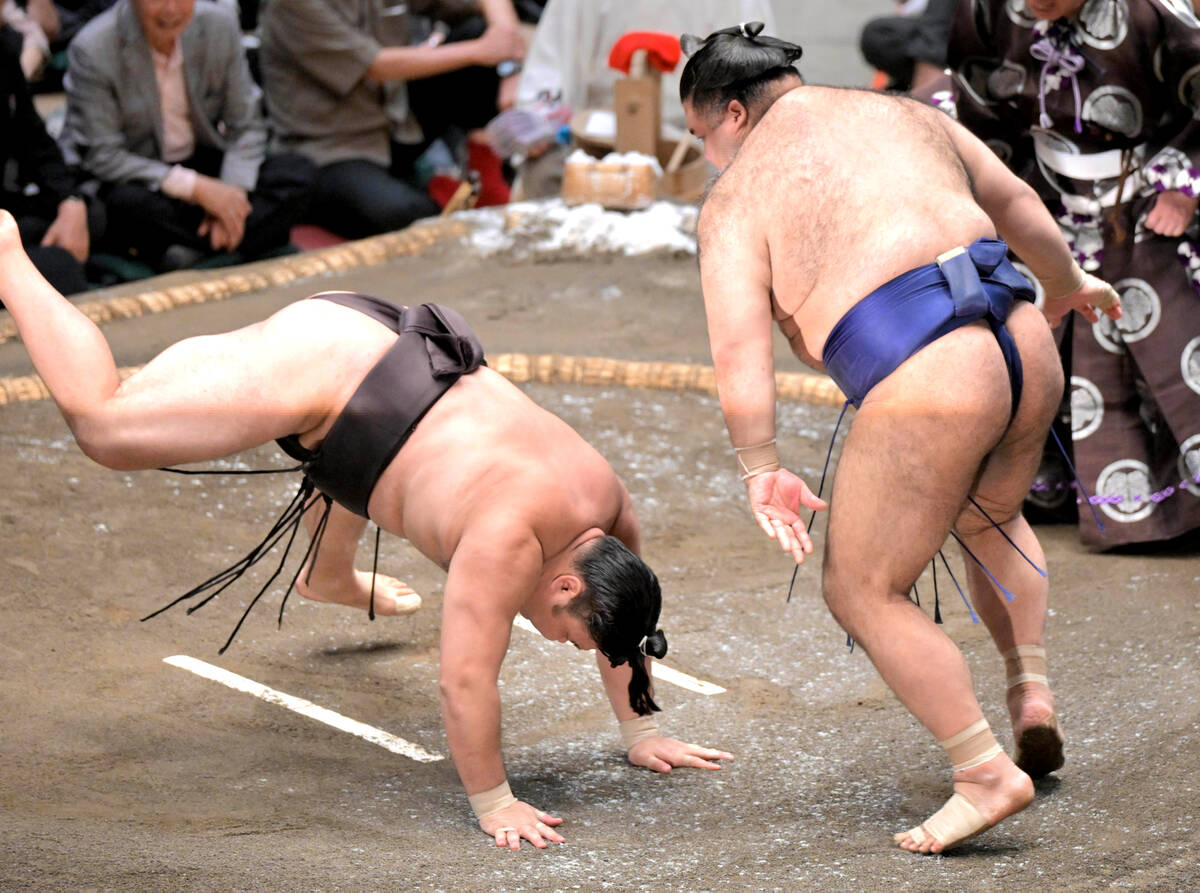 九重親方（千代大海 龍二）の関連情報 - フォロー - Yahoo! JAPAN